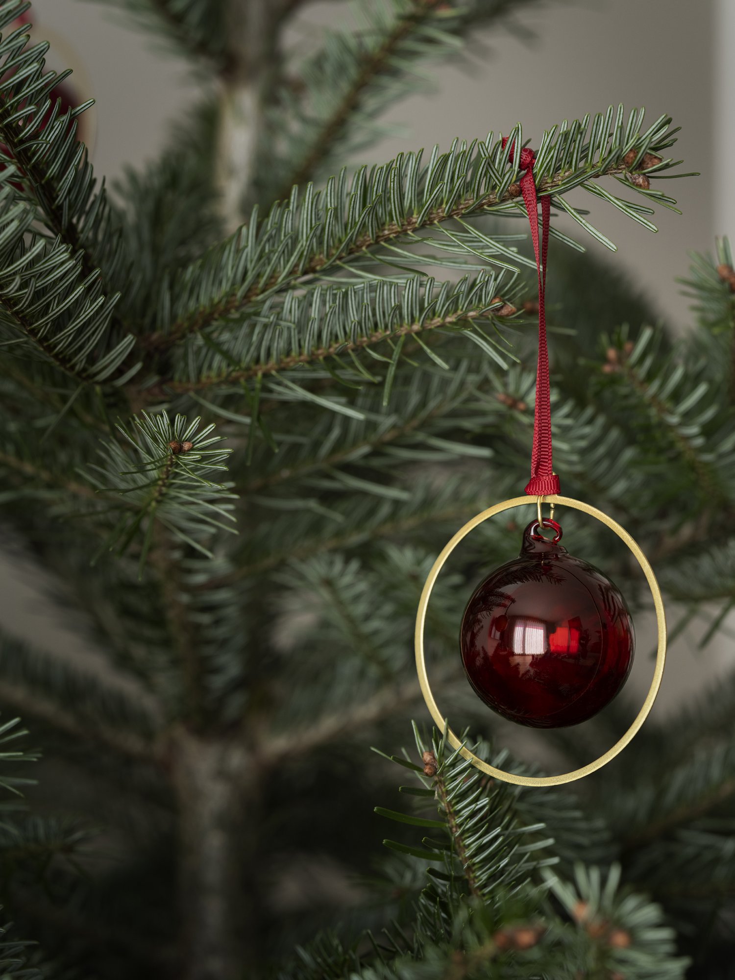 Roter Glasornament, das an einem Weihnachtsbaum mit grünen Tannenzweigen hängt.