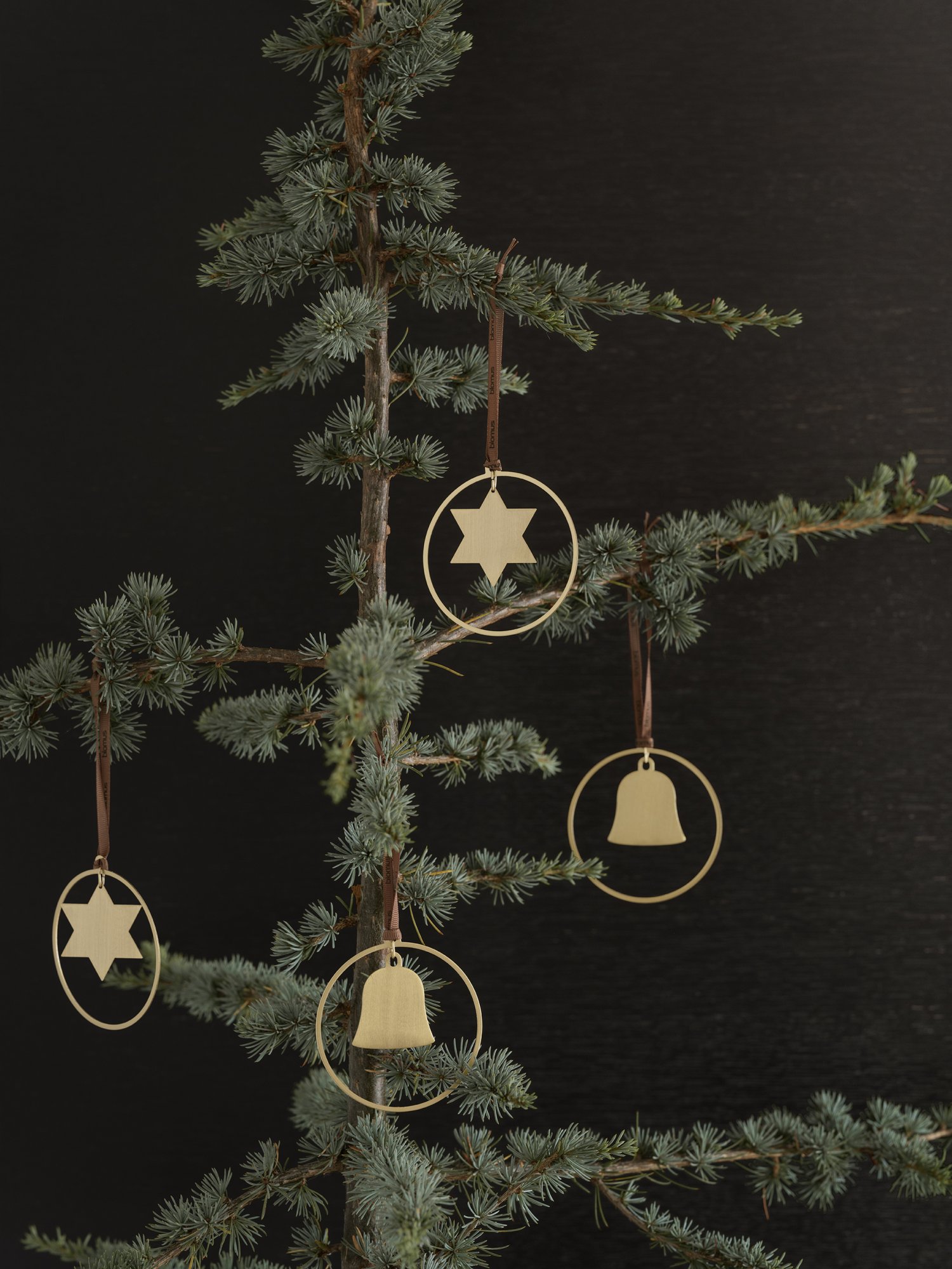 Elegant golden ornaments hanging from a Christmas tree branch against a dark background.